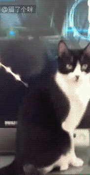 你们的世界我们真的不懂 同意的点赞 想看第一弹吗?