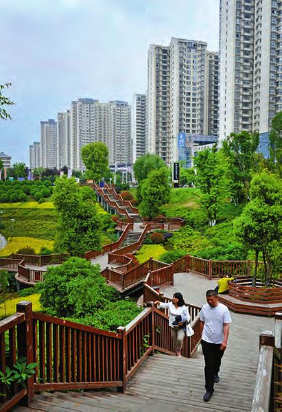 "森林高新"已经成为安康绿色城市与生态城市理念的样板.