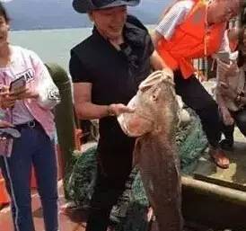 汕头一条122斤的鱼，被深圳土豪347万买走？真相是……