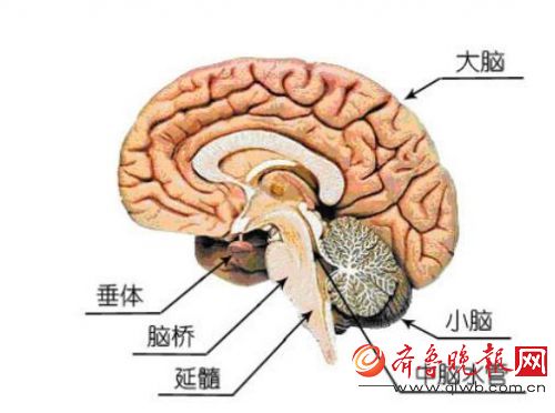 F0B179F8006C6C84A53AC1A07307E1FF1CD12DF9_size29_w500_h372.jpeg