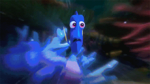 500_281 gif 动态图 动图