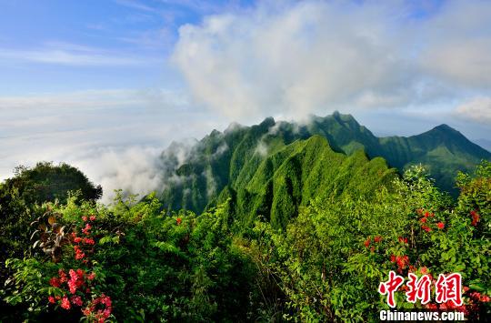 图为秀山川河盖景区的梳子山。秀山宣传部供图