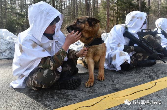 五月天池-17℃，兵哥带军犬开启野外极限训练