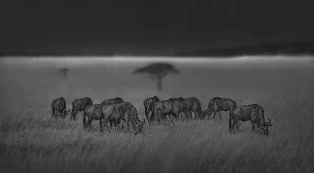 专访 | 段岳衡:自然的门徒,顶礼造物的恩宠