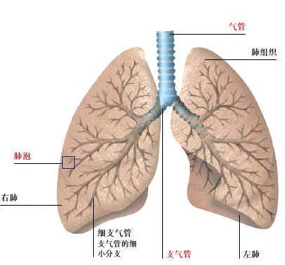 身体一衰老百病身上找8个测试方法衰老早发现