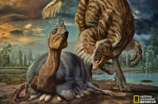 巨型恐龙蛋里的真相：“中华贝贝龙”