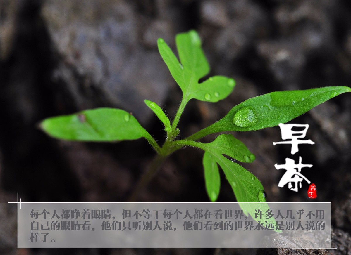 学而思涉嫌违规办学 官方喊话:培训机构要有底线