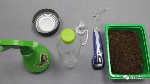 1分钟，塑料瓶变自动吸水花盆！1个月不浇水都没问题！