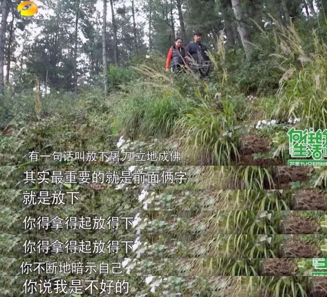 QQ图片20170517175713