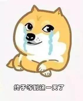评论丨大龄单身青年惊动团中央！这事该管吗，怎么管？