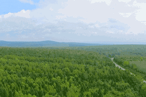 壁纸 草原 成片种植 风景 植物 种植基地 桌面 500_333 gif 动态图