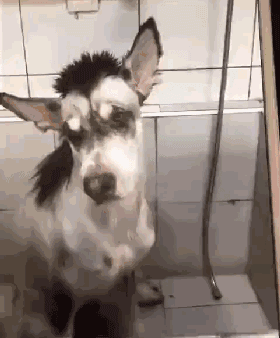 这谁干的, 也太丧心病狂了吧!