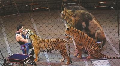 动物保护组织多年抗议 美国百年马戏团昨天谢幕
