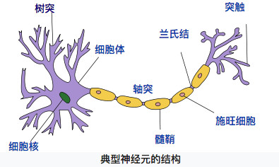 简单形象又有趣地讲解神经网络是什么