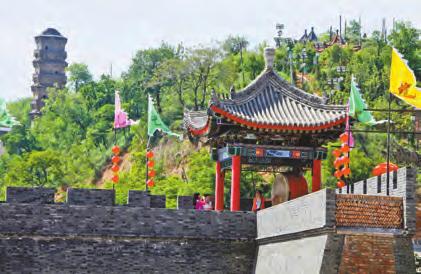 大美槐乡 生态永寿
