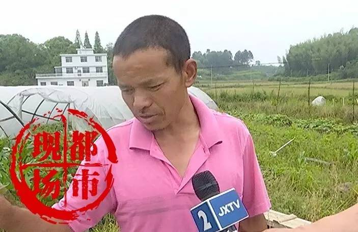 萍乡 |  4个小学生踩坏9000斤西瓜  更可怕的是后面