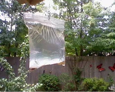 驱赶蝇虫，只需塑料袋里装点水……快给家人朋友看看！