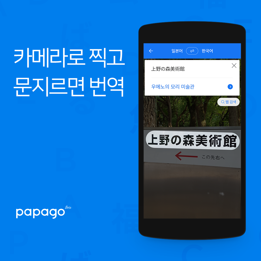 Naver-papago3.png