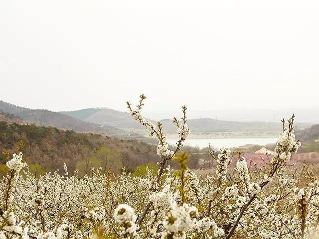 樱桃红,芒果黄,美人坯子长出了胸膛