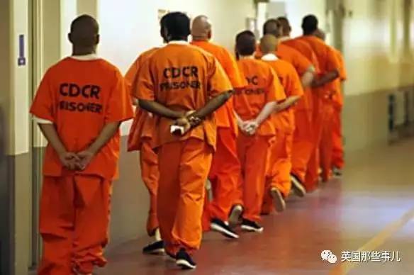 荒唐吗？在美国说了算的可能不是法官是AI(图)