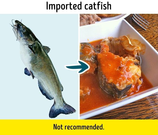 这些被严重污染的鱼，千万要记住下次不要再吃了哦