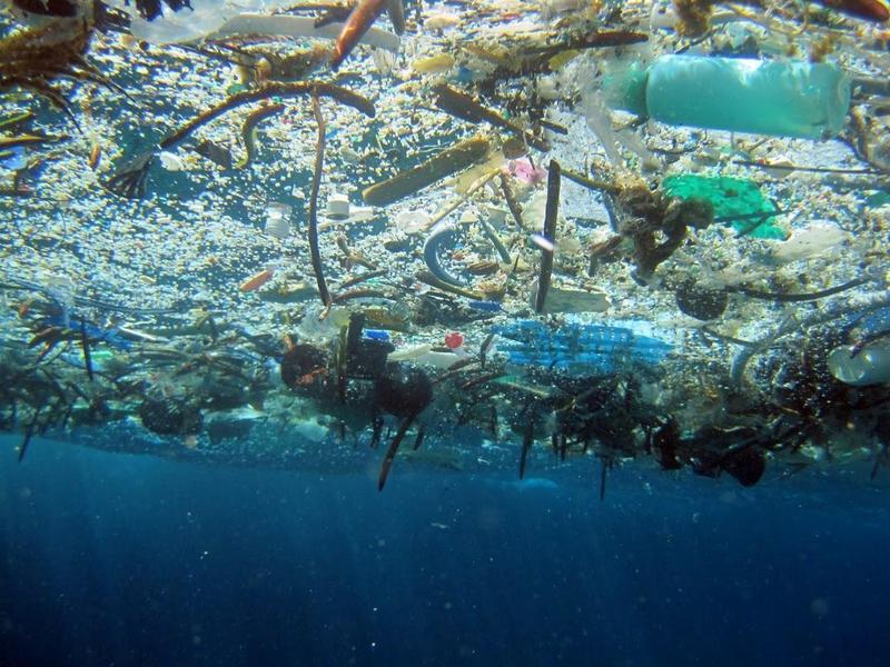 塑料对环境污染的严重程度究竟有多大