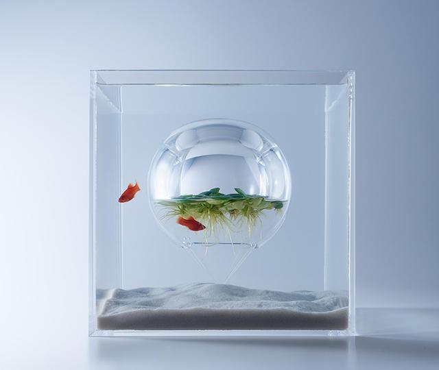 用3D打印将鱼缸造景回归单纯的平衡，其实鱼才是主角