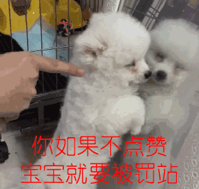 单身女微信摇到帅哥,很快江泽玲简历陷入热恋,可婚礼前发现了对方一个秘密