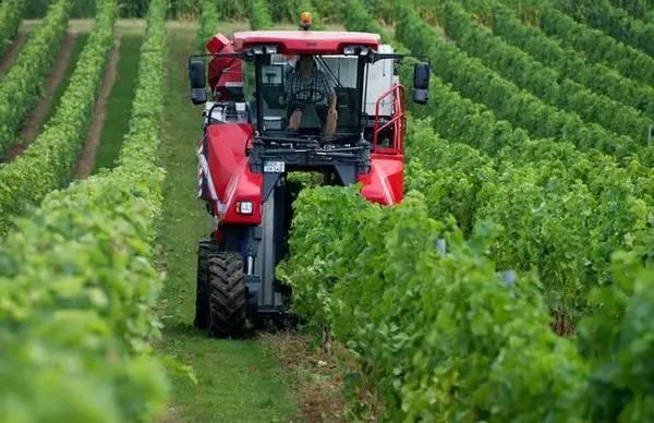 德国农民人均年收入竟超过30万元.别拦我,我要