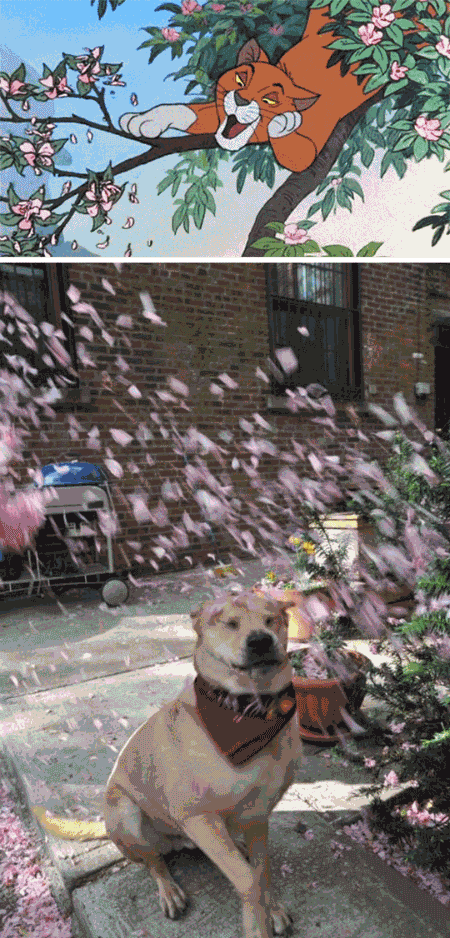 450_938 竖版 竖屏 gif 动态图 动图