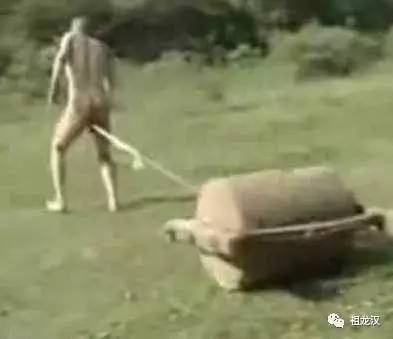 太极铁蛋功，秒杀少林铁裆功