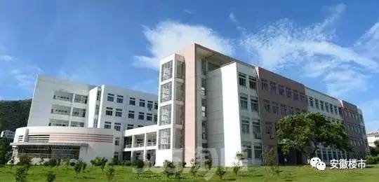 厉害了合肥!北大、清华、复旦、北外都来了!全