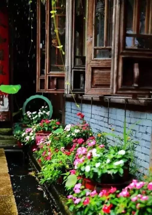 古诗词里的“芒种”知多少:其实远远不只这些