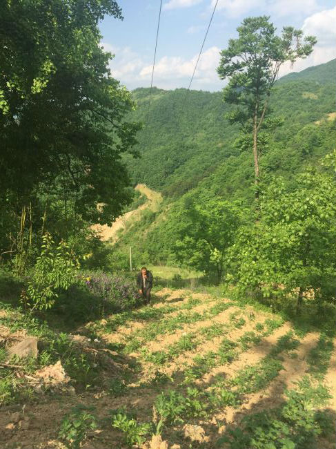 #驻村日记# 夫妻档 结对帮扶贫困户