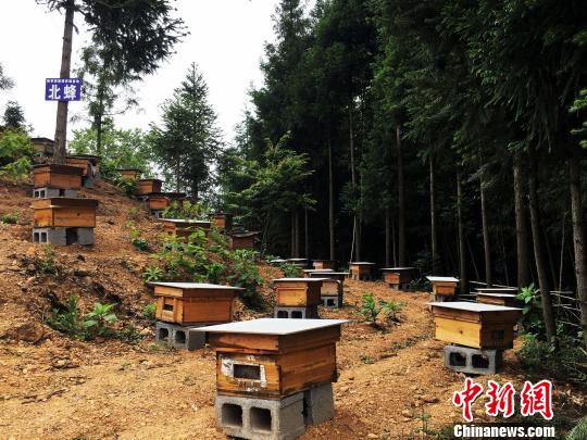 中国有多少人口农村_...省婺源汪口村 中国古村落 江南第一祠(2)