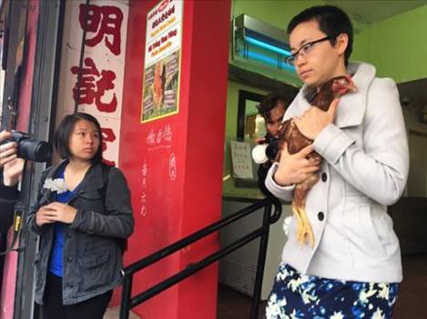 华裔“围攻”华人鸡店流泪解救6只母鸡 还在超市举行了葬礼