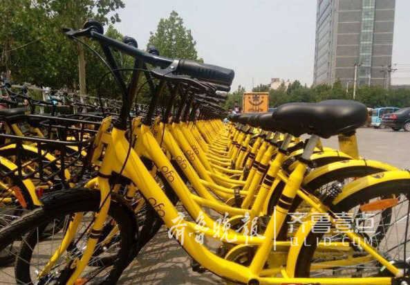 小黄车 亮相德州 首批200余辆ofo共享单车试运