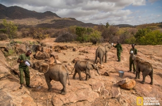 影像记录：曾经的大象恐惧者变成保护者
