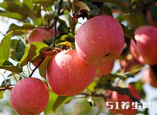 苹果 苹果