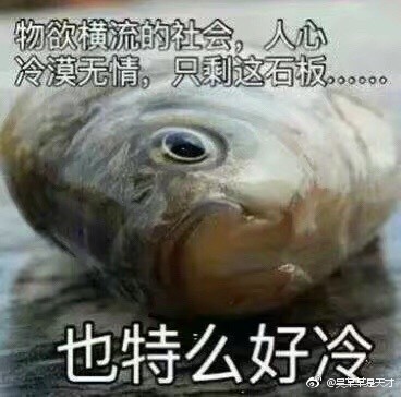 0061flR4ly1fgct9gpbkej30a80a4q3r