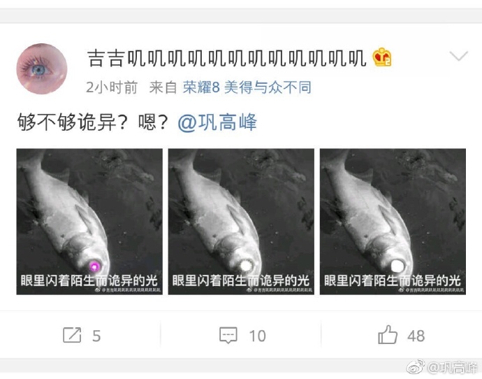 43df9542gy1fgdgzjk9vpj20qo0kyjts