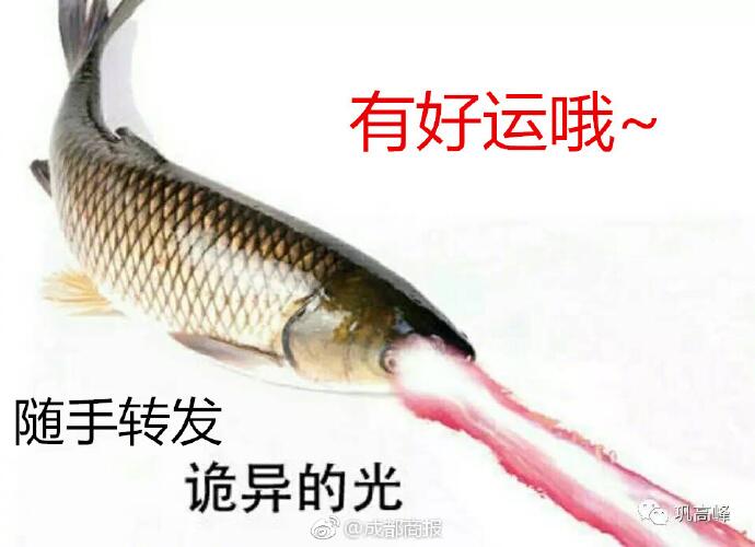 QQ图片20170608151755