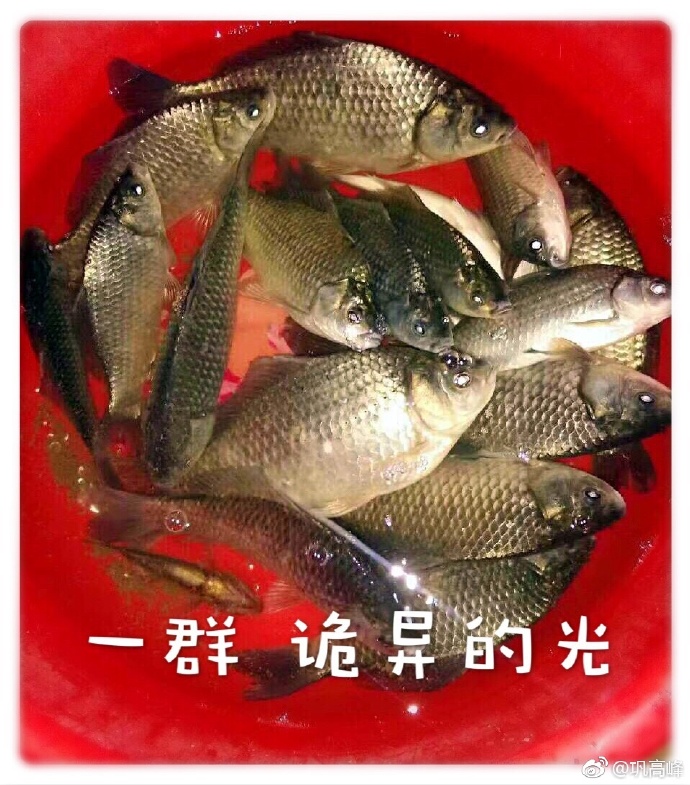 43df9542gy1fgdgzl3xiyj20qo0ucn59