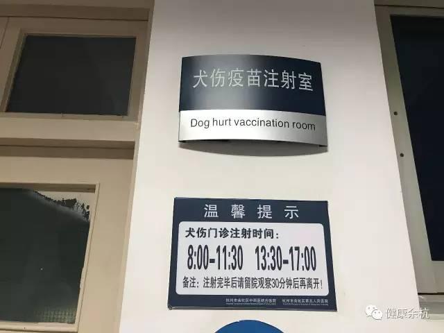懵了！杭州一熊孩子竟然把狗咬了，幸好狗狗没有还嘴