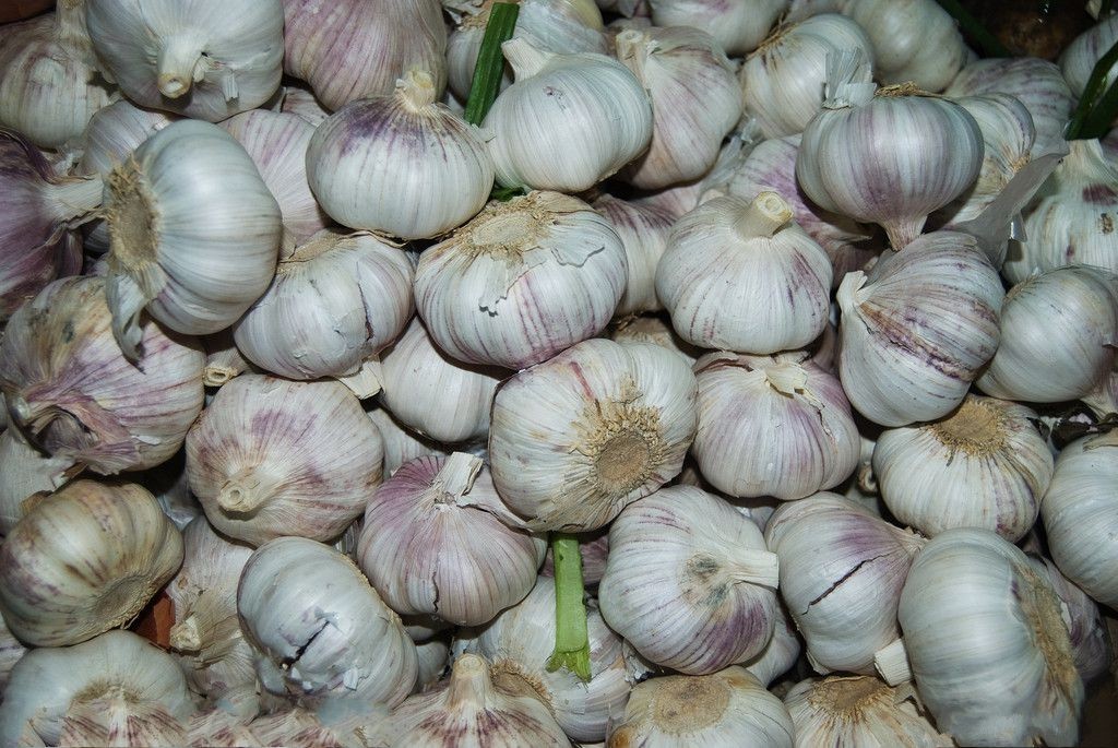 吃大蒜的人,注意了!很多人还不知道