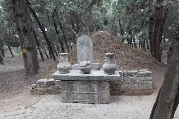 在树林的前方一字排开三苏的坟丘,中间的是"宋老泉苏先生之墓",右侧为
