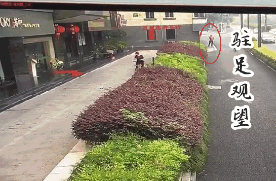 545_357 gif 动态图 动图