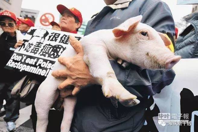 开放美猪——台湾顶不住的压力？