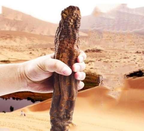 35岁男人两个助性锻炼方法,让你夜晚办事更