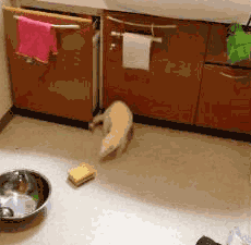 天津自体丰下巴也是切口吗